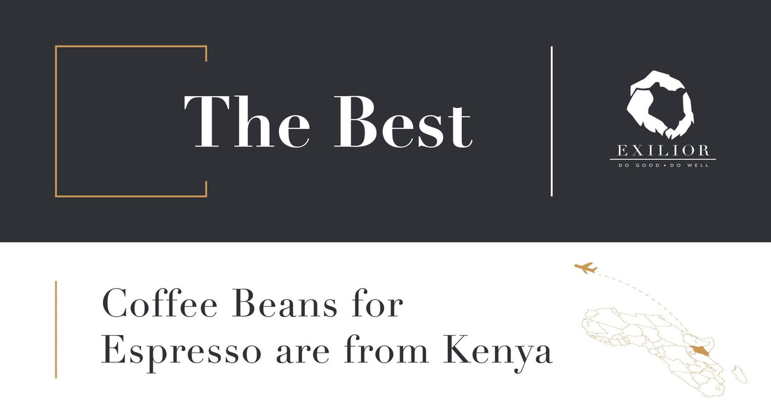The Best Coffee Beans for Espresso Are from Kenya