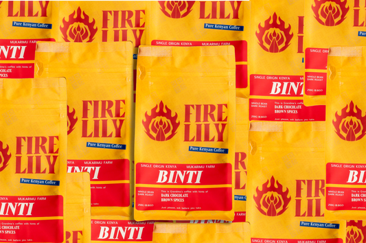 Binti  Dark Roast Coffee Subscription