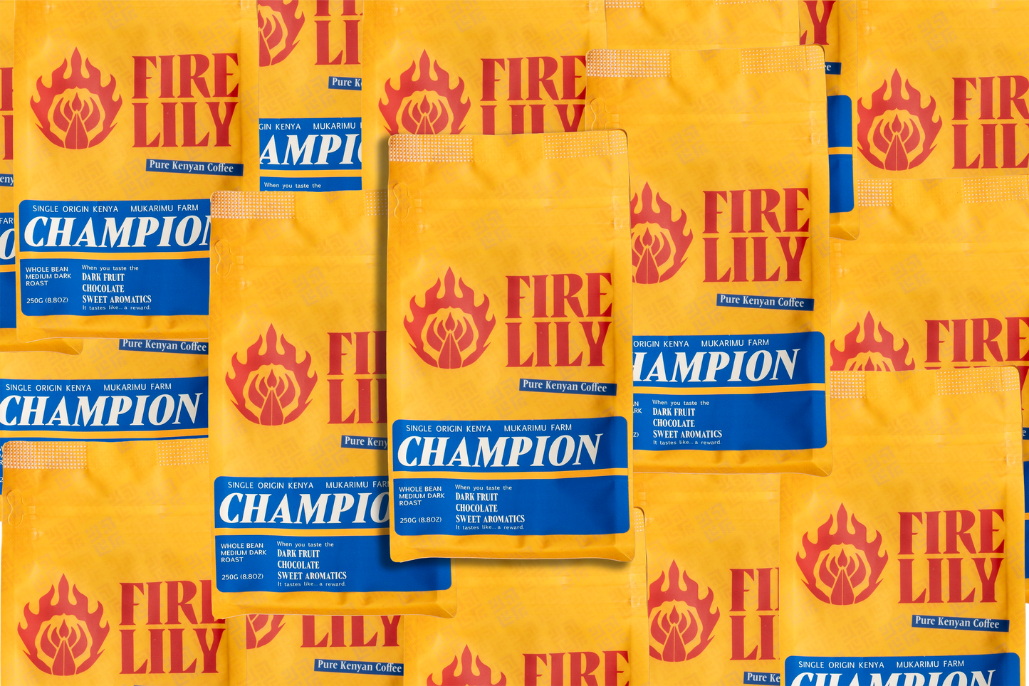 Champion Medium - Dark Roast Coffee Subscription