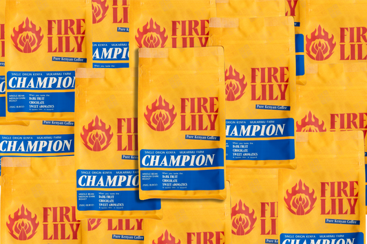 Champion Medium - Dark Roast Coffee Subscription