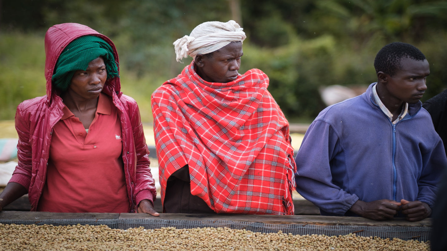 BINTI - Dark Roast Kenyan Coffee