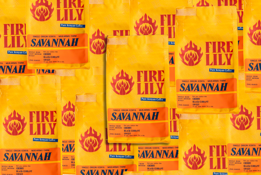 Savannah Light-Medium Roast Coffee Subscription